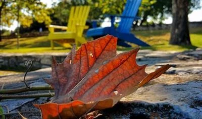 Goldener Herbst - Warum Sie die Outdoor-Saison in Ihrem Café verlängern sollten
